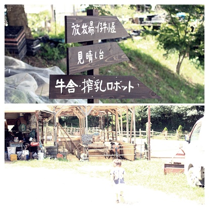 c0156548_1735258.jpg