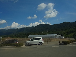 d0063149_18335221.jpg