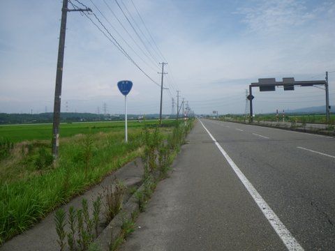 f0046250_2481625.jpg