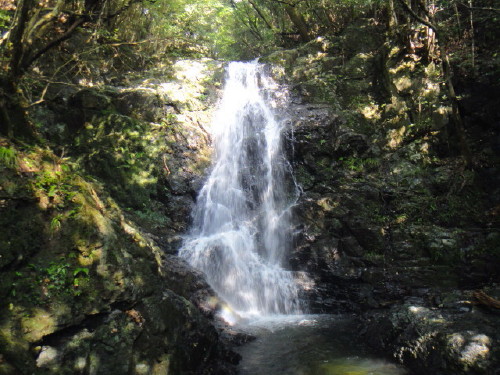 c0179351_10475877.jpg