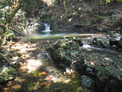 c0179351_1048334.jpg
