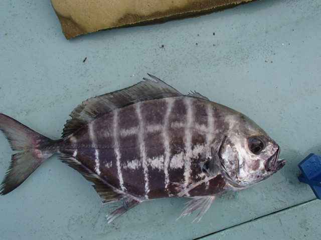 a0248152_18333637.jpg