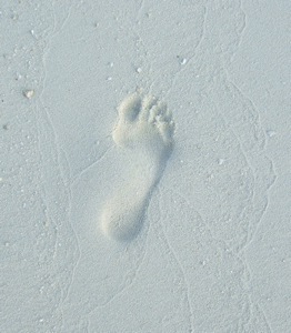 f0190653_1611667.jpg