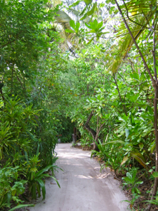 f0190653_1625037.jpg