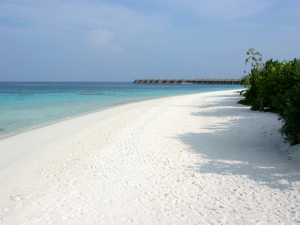 f0190653_163954.jpg