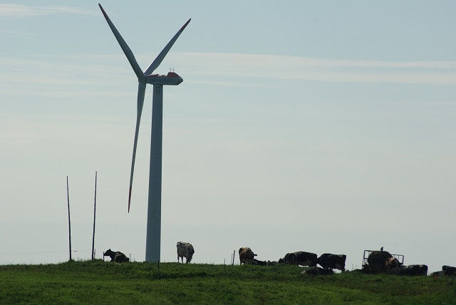 c0080357_1928761.jpg