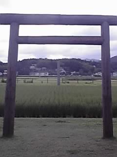 f0155957_07519.jpg