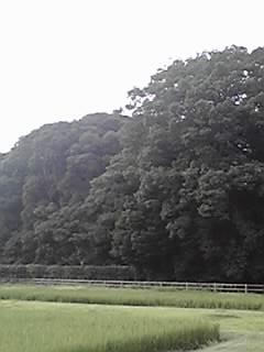 f0155957_081547.jpg