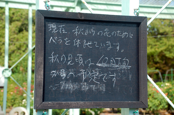 f0176458_1844457.jpg