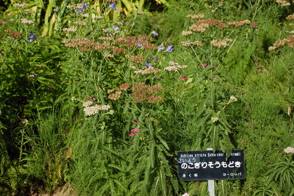 f0176458_18505343.jpg