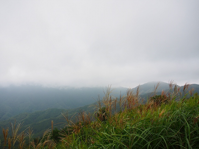 d0128465_8261613.jpg