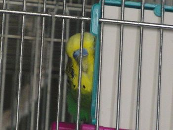 f0196665_2351211.jpg