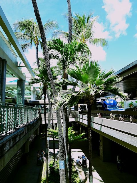 b0247073_2321892.jpg