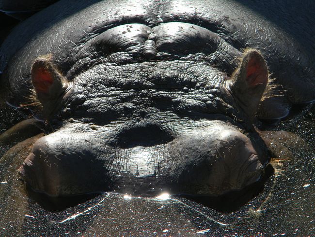 b0014576_6594280.jpg