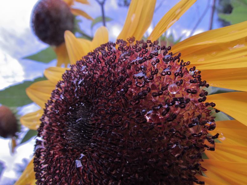 c0183777_913789.jpg