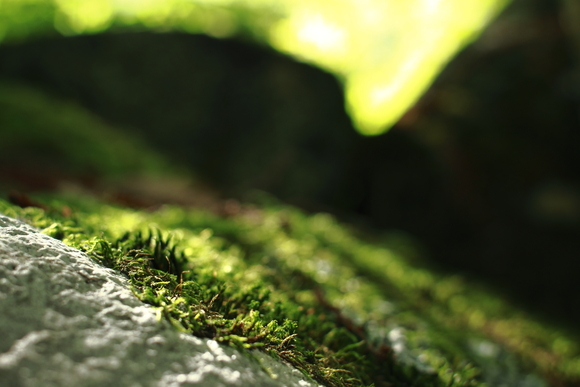 c0239983_1532169.jpg