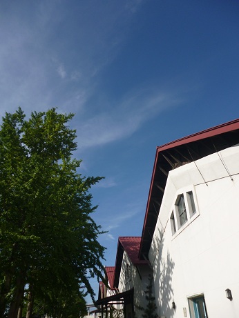 d0129083_1351713.jpg
