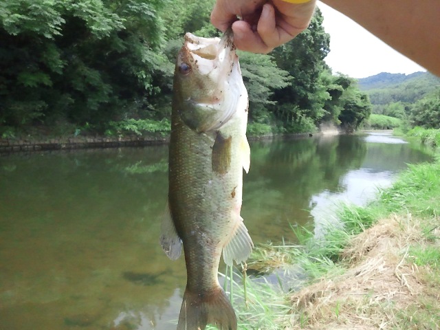 e0052088_1220870.jpg