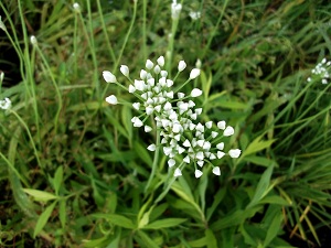 f0235289_8513459.jpg