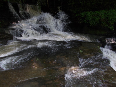 a0255790_16282030.jpg