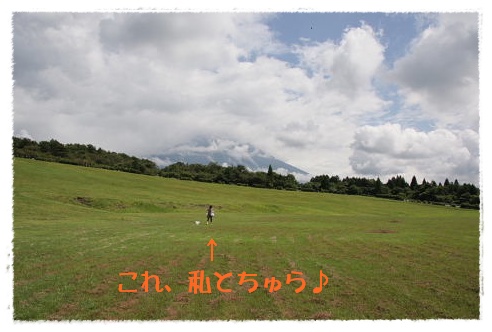 b0104592_13454736.jpg