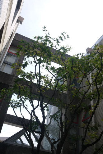 f0222692_1930868.jpg