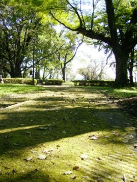 e0280693_13463531.jpg