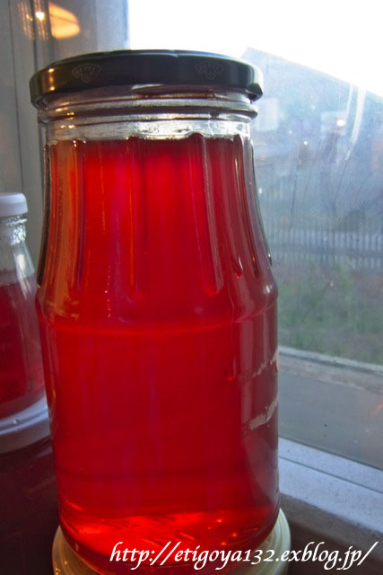 e0250594_1335056.jpg