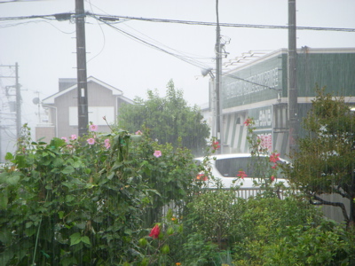 c0149195_2271724.jpg