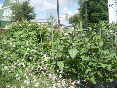 c0149195_2293516.jpg