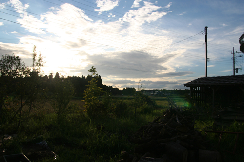 d0100095_8322388.jpg