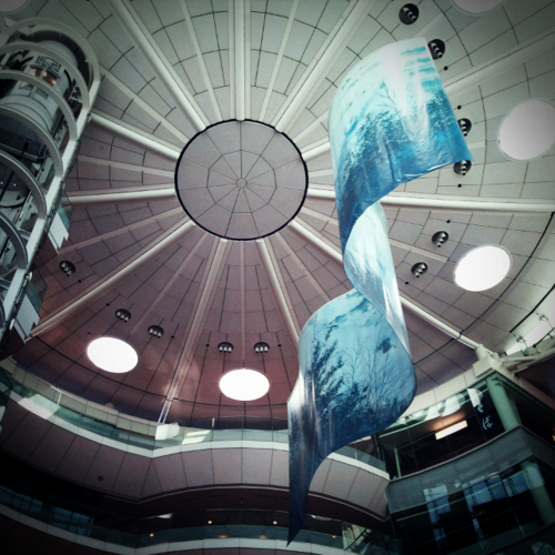 c0207596_1952879.png
