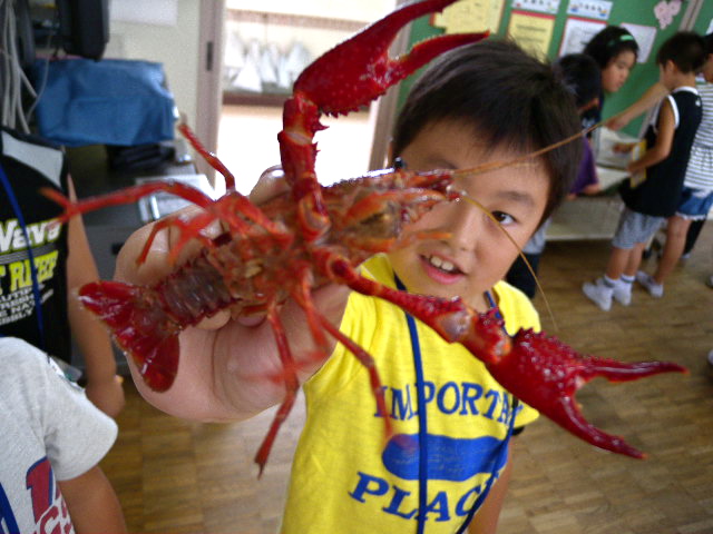 a0199297_20502528.jpg