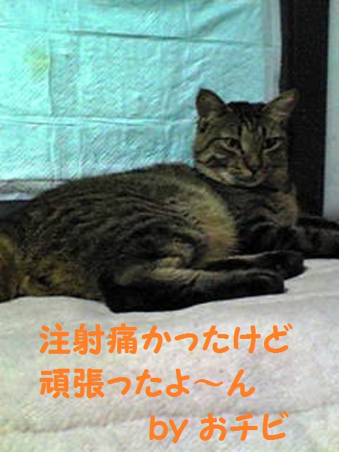 a0232197_2233172.jpg