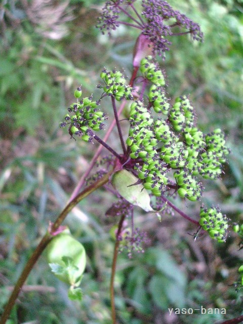 e0025300_13562711.jpg