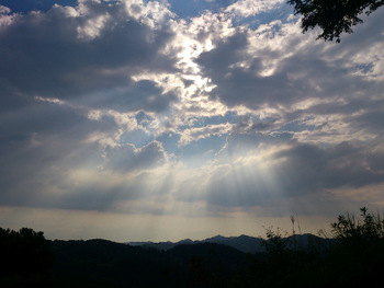 b0217204_235565.jpg