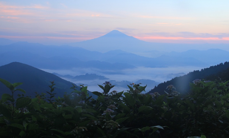 a0188405_2046615.jpg