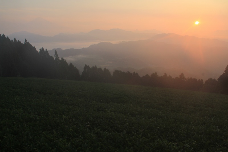 a0188405_2048189.jpg
