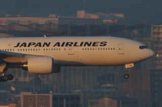 f0233011_4422183.jpg