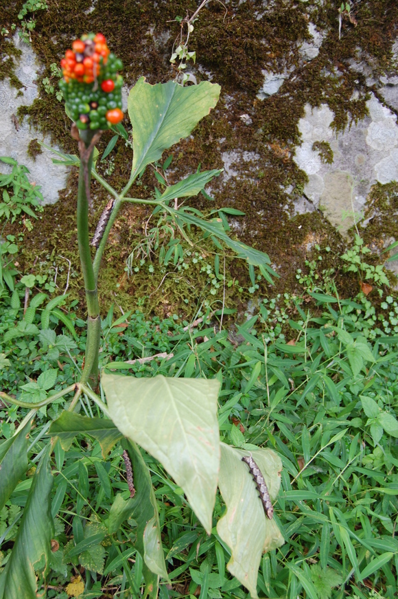f0233815_7384668.jpg