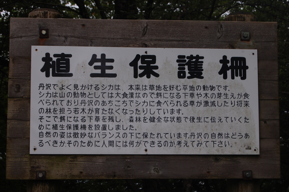 f0233815_7525156.jpg