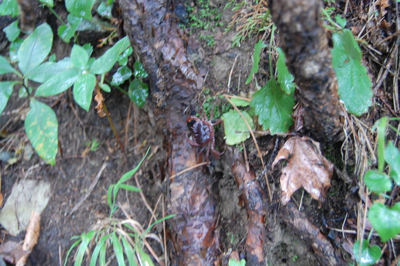 f0233815_7581621.jpg