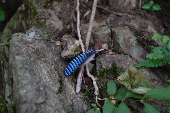 f0233815_833333.jpg
