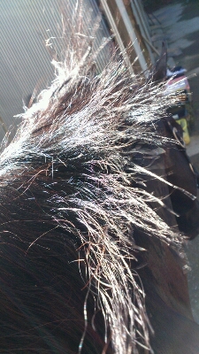 b0187620_20352123.jpg