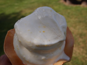 b0147224_11563598.jpg