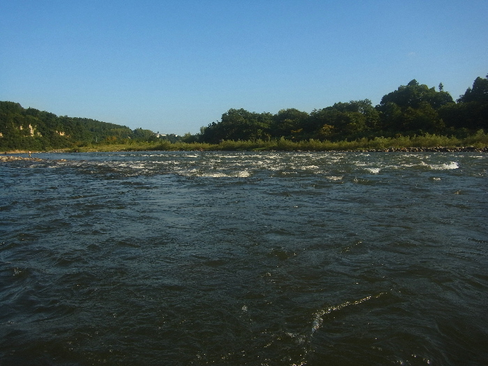 f0103126_22411378.jpg