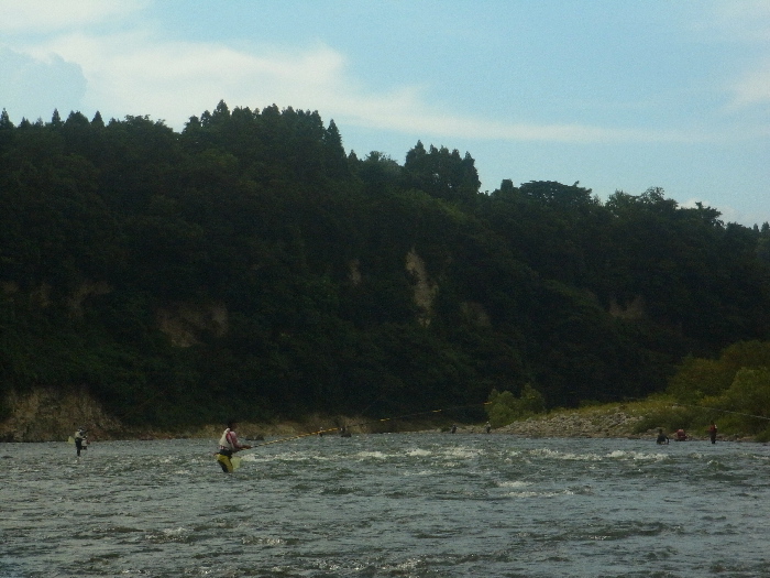 f0103126_2241321.jpg