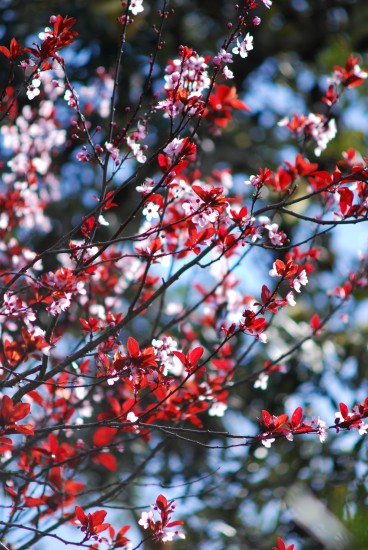 b0248427_20584271.jpg