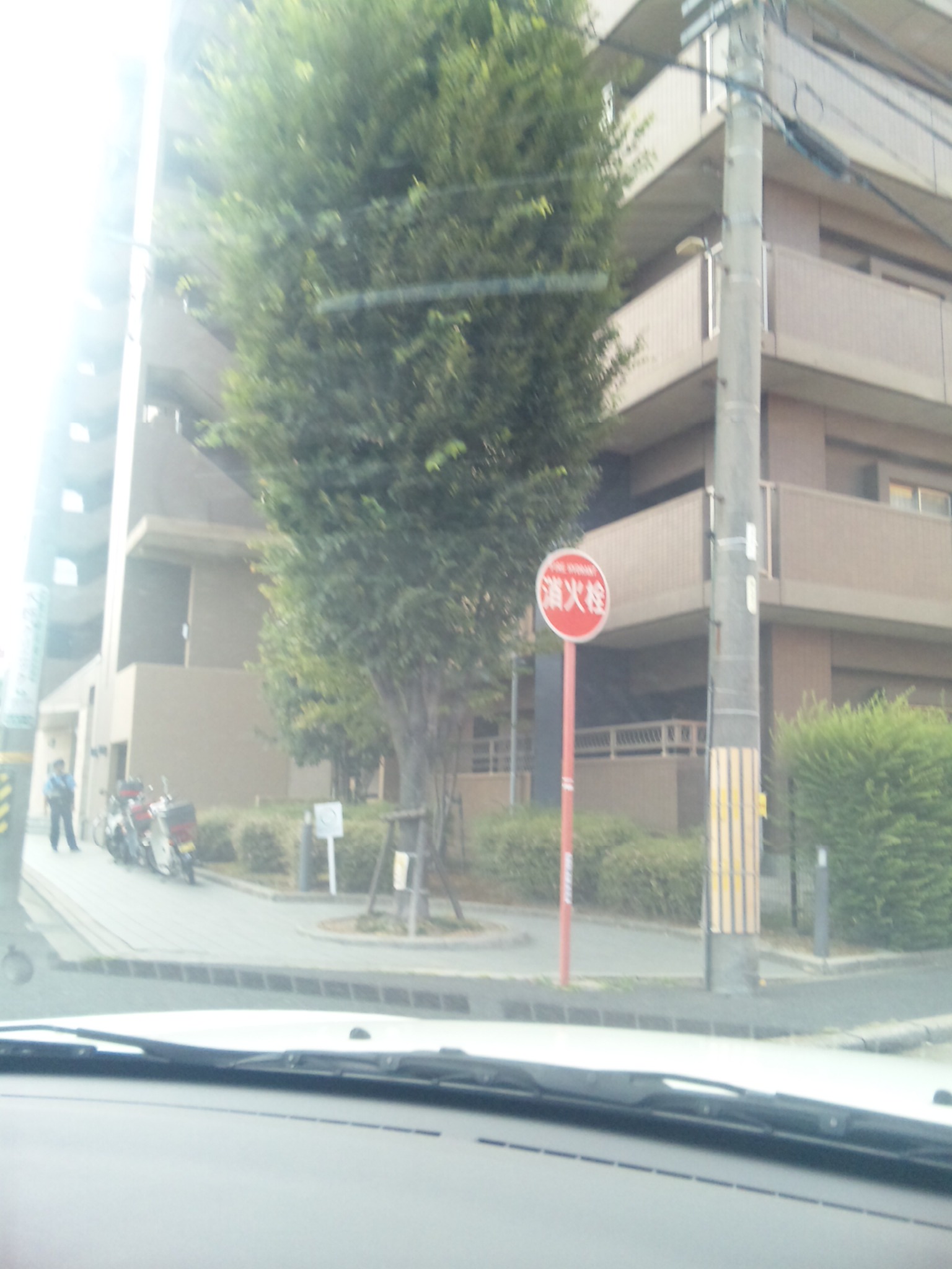 e0013927_891252.jpg