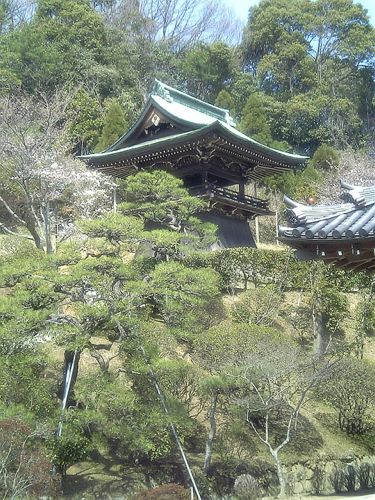 c0177332_2310511.jpg